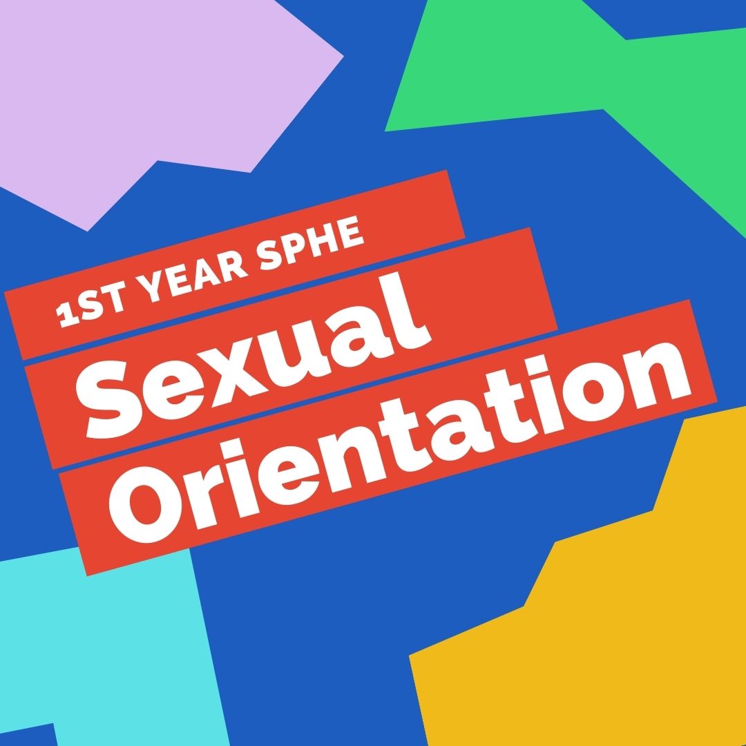 Sexual Orientation 1st Year
