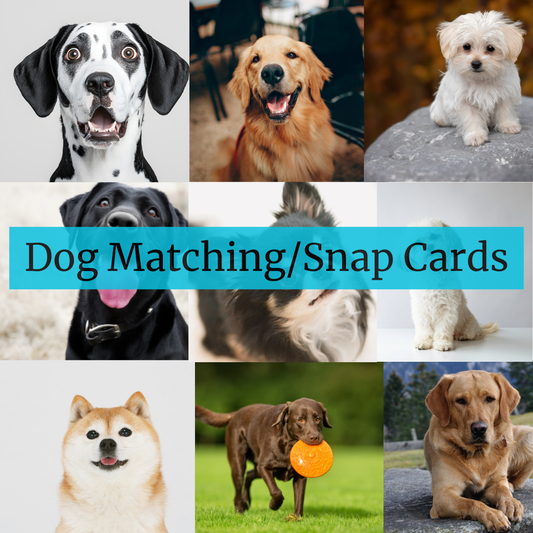 Dog Matching & Snap Cards – Level 2 Animal Care Resource